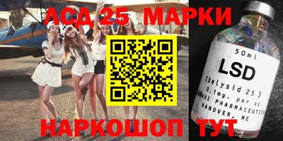 шишки Берёзовский