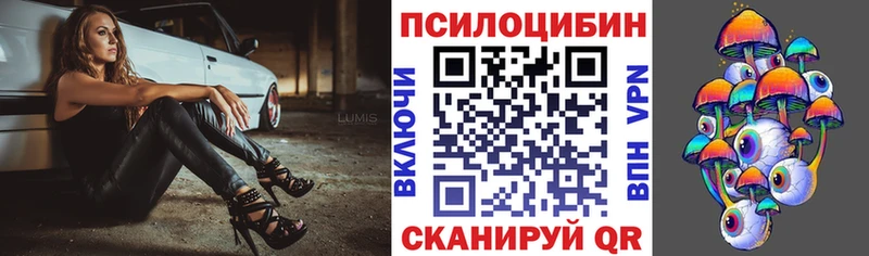 даркнет сайт  Сертолово  Галлюциногенные грибы Psilocybine cubensis 