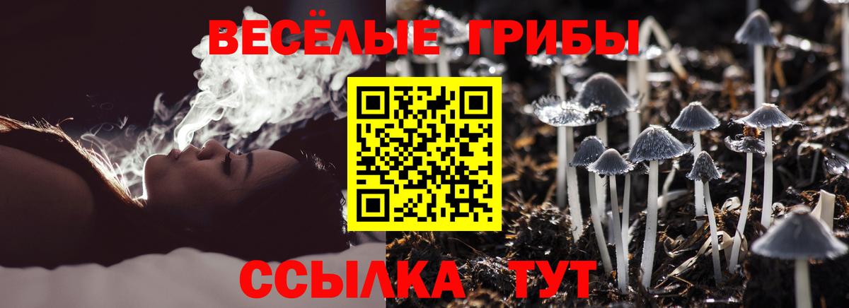 Сертолово  Псилоцибиновые грибы GOLDEN TEACHER  Вход с VPN 